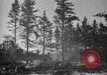 Image Des prisonniers allemands Munising Michigan USA, 1944, de la seconde 29 séquences d'archives historiques vidéo 65675068893