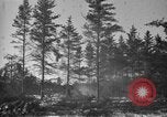 Image Des prisonniers allemands Munising Michigan USA, 1944, de la seconde 31 séquences d'archives historiques vidéo 65675068893