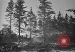 Image Des prisonniers allemands Munising Michigan USA, 1944, de la seconde 32 séquences d'archives historiques vidéo 65675068893