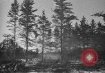 Image Des prisonniers allemands Munising Michigan USA, 1944, de la seconde 33 séquences d'archives historiques vidéo 65675068893