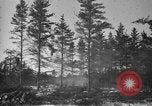 Image Des prisonniers allemands Munising Michigan USA, 1944, de la seconde 34 séquences d'archives historiques vidéo 65675068893