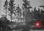 Image Des prisonniers allemands Munising Michigan USA, 1944, de la seconde 35 séquences d'archives historiques vidéo 65675068893