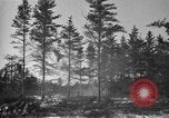 Image Des prisonniers allemands Munising Michigan USA, 1944, de la seconde 36 séquences d'archives historiques vidéo 65675068893