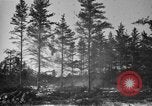 Image Des prisonniers allemands Munising Michigan USA, 1944, de la seconde 37 séquences d'archives historiques vidéo 65675068893