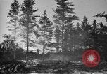 Image Des prisonniers allemands Munising Michigan USA, 1944, de la seconde 38 séquences d'archives historiques vidéo 65675068893