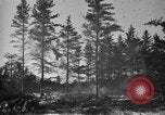 Image Des prisonniers allemands Munising Michigan USA, 1944, de la seconde 39 séquences d'archives historiques vidéo 65675068893