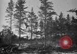 Image Des prisonniers allemands Munising Michigan USA, 1944, de la seconde 40 séquences d'archives historiques vidéo 65675068893