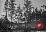 Image Des prisonniers allemands Munising Michigan USA, 1944, de la seconde 41 séquences d'archives historiques vidéo 65675068893