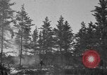 Image Des prisonniers allemands Munising Michigan USA, 1944, de la seconde 46 séquences d'archives historiques vidéo 65675068893