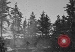 Image Des prisonniers allemands Munising Michigan USA, 1944, de la seconde 49 séquences d'archives historiques vidéo 65675068893
