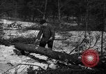 Image Des prisonniers allemands Munising Michigan USA, 1944, de la seconde 62 séquences d'archives historiques vidéo 65675068893