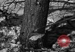 Standbild deutschen Gefangenen Munising Michigan USA, 1944, aus Sekunde 5 historischem Filmmaterial Videoclip 65675068894