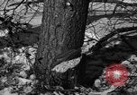 Standbild deutschen Gefangenen Munising Michigan USA, 1944, aus Sekunde 6 historischem Filmmaterial Videoclip 65675068894