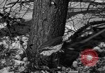 Standbild deutschen Gefangenen Munising Michigan USA, 1944, aus Sekunde 8 historischem Filmmaterial Videoclip 65675068894