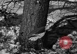 Standbild deutschen Gefangenen Munising Michigan USA, 1944, aus Sekunde 9 historischem Filmmaterial Videoclip 65675068894