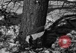 Standbild deutschen Gefangenen Munising Michigan USA, 1944, aus Sekunde 10 historischem Filmmaterial Videoclip 65675068894