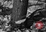 Standbild deutschen Gefangenen Munising Michigan USA, 1944, aus Sekunde 12 historischem Filmmaterial Videoclip 65675068894