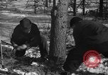 Standbild deutschen Gefangenen Munising Michigan USA, 1944, aus Sekunde 15 historischem Filmmaterial Videoclip 65675068894