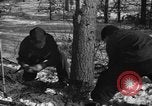 Standbild deutschen Gefangenen Munising Michigan USA, 1944, aus Sekunde 16 historischem Filmmaterial Videoclip 65675068894