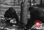 Standbild deutschen Gefangenen Munising Michigan USA, 1944, aus Sekunde 17 historischem Filmmaterial Videoclip 65675068894