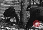 Standbild deutschen Gefangenen Munising Michigan USA, 1944, aus Sekunde 18 historischem Filmmaterial Videoclip 65675068894