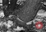 Standbild deutschen Gefangenen Munising Michigan USA, 1944, aus Sekunde 21 historischem Filmmaterial Videoclip 65675068894