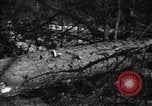 Standbild deutschen Gefangenen Munising Michigan USA, 1944, aus Sekunde 32 historischem Filmmaterial Videoclip 65675068894
