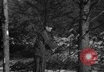 Standbild deutschen Gefangenen Munising Michigan USA, 1944, aus Sekunde 49 historischem Filmmaterial Videoclip 65675068894