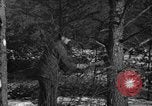 Standbild deutschen Gefangenen Munising Michigan USA, 1944, aus Sekunde 52 historischem Filmmaterial Videoclip 65675068894
