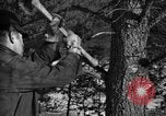 Standbild deutschen Gefangenen Munising Michigan USA, 1944, aus Sekunde 54 historischem Filmmaterial Videoclip 65675068894
