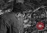 Standbild deutschen Gefangenen Munising Michigan USA, 1944, aus Sekunde 60 historischem Filmmaterial Videoclip 65675068894