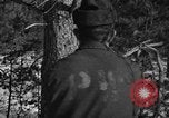 Standbild deutschen Gefangenen Munising Michigan USA, 1944, aus Sekunde 62 historischem Filmmaterial Videoclip 65675068894