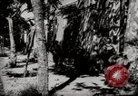Image Bataille de Tunisie la Tunisie en Afrique du Nord, 1943, de la seconde 55 séquences d'archives historiques vidéo 65675068906