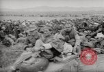 Image Bataille de Tunisie la Tunisie en Afrique du Nord, 1943, de la seconde 56 séquences d'archives historiques vidéo 65675068907