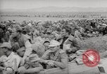 Image Bataille de Tunisie la Tunisie en Afrique du Nord, 1943, de la seconde 58 séquences d'archives historiques vidéo 65675068907