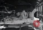 Immagine di 8° Fighter Group Morotai Island Indonesia, 1944, secondo 54 filmato di repertorio 65675068909