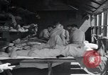Immagine di 8° Fighter Group Morotai Island Indonesia, 1944, secondo 57 filmato di repertorio 65675068909