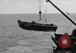 Image of 80th Fighter Squadron Philippine Sea, 1944, second 37 stock footage video 65675068912