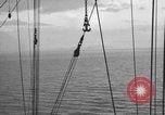 Image of 8th Fighter Group at Leyte Island World War 2 Philippine Sea, 1944, second 26 stock footage video 65675068913