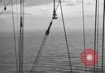 Image of 8th Fighter Group at Leyte Island World War 2 Philippine Sea, 1944, second 27 stock footage video 65675068913