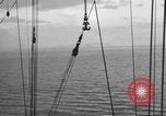 Image of 8th Fighter Group at Leyte Island World War 2 Philippine Sea, 1944, second 28 stock footage video 65675068913