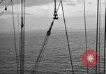 Image of 8th Fighter Group at Leyte Island World War 2 Philippine Sea, 1944, second 29 stock footage video 65675068913