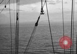 Image of 8th Fighter Group at Leyte Island World War 2 Philippine Sea, 1944, second 30 stock footage video 65675068913