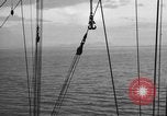 Image of 8th Fighter Group at Leyte Island World War 2 Philippine Sea, 1944, second 32 stock footage video 65675068913