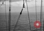 Image of 8th Fighter Group at Leyte Island World War 2 Philippine Sea, 1944, second 33 stock footage video 65675068913