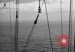 Image of 8th Fighter Group at Leyte Island World War 2 Philippine Sea, 1944, second 34 stock footage video 65675068913