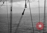 Image of 8th Fighter Group at Leyte Island World War 2 Philippine Sea, 1944, second 37 stock footage video 65675068913