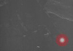 Image of 8th Fighter Group at Leyte Island World War 2 Philippine Sea, 1944, second 46 stock footage video 65675068913