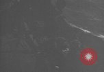 Image of 8th Fighter Group at Leyte Island World War 2 Philippine Sea, 1944, second 51 stock footage video 65675068913