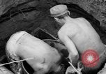 Image of 8th Fighter Group Leyte Philippines, 1944, second 27 stock footage video 65675068915